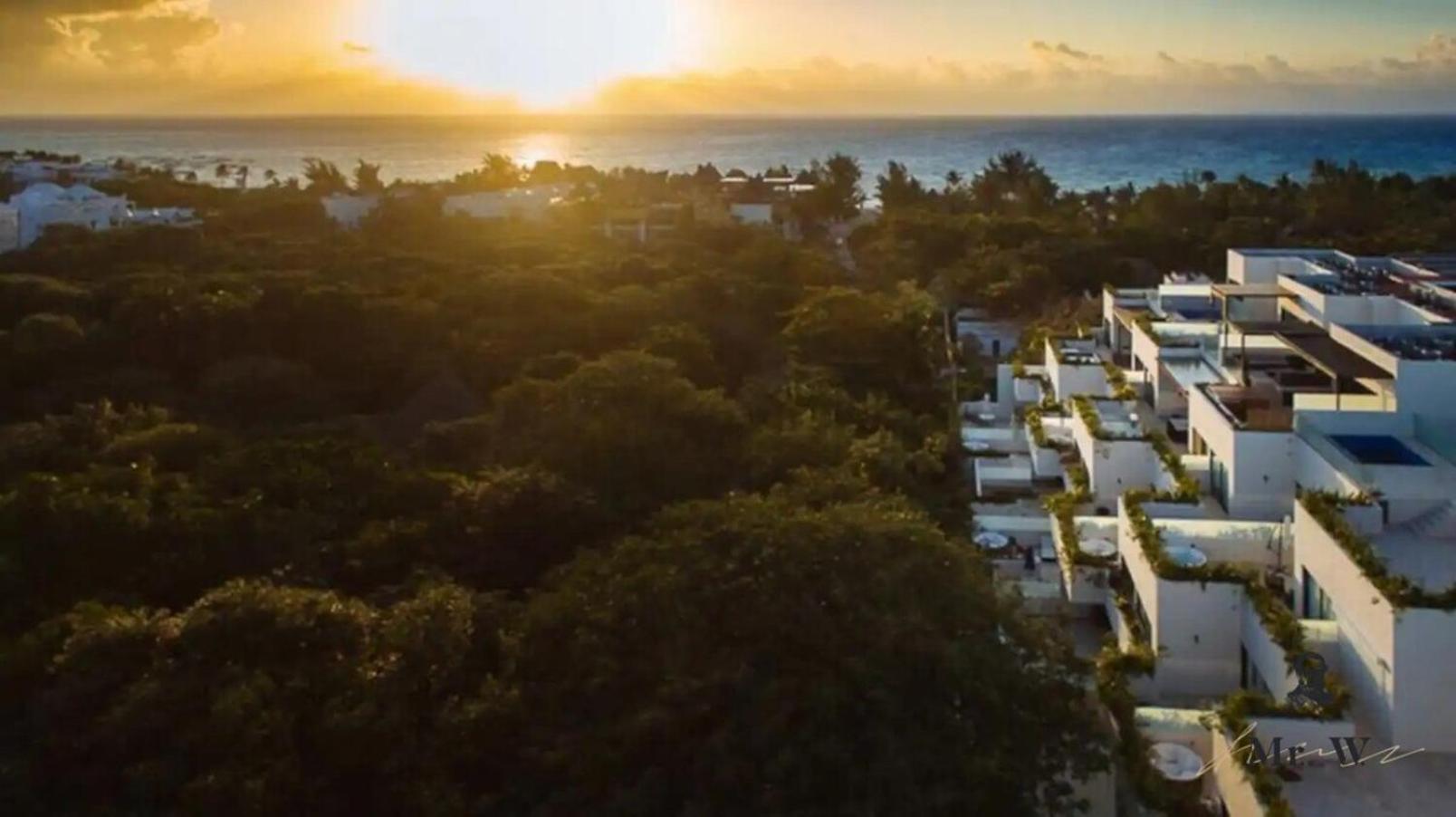 Private Pool & Jacuzzi Steps To Beach & 5Th Ave Playa del Carmen Eksteriør bilde